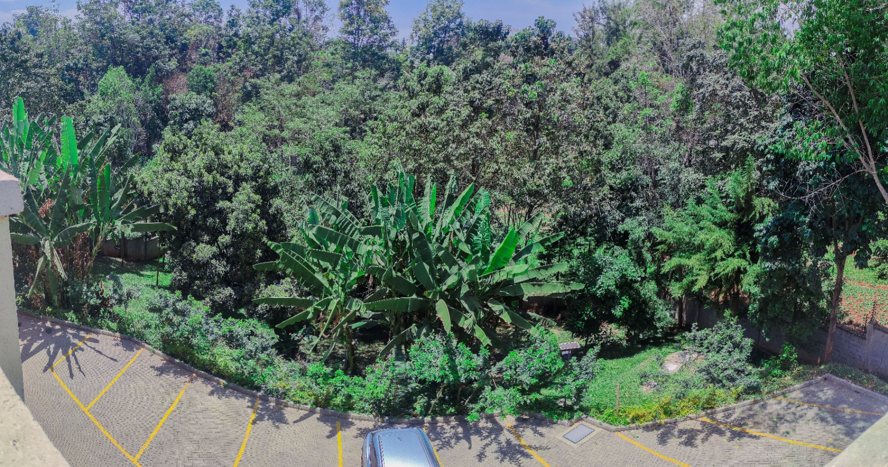 Panoramic view of lush greenery and secure parking area at Gigiri Tulivu Residence