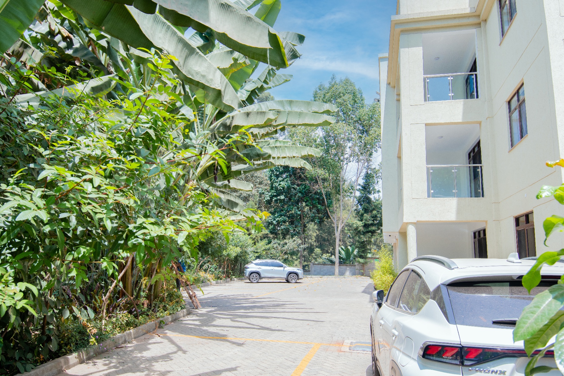 Driveway framed by lush greenery at Gigiri Tulivu Residence, Gigiri.
